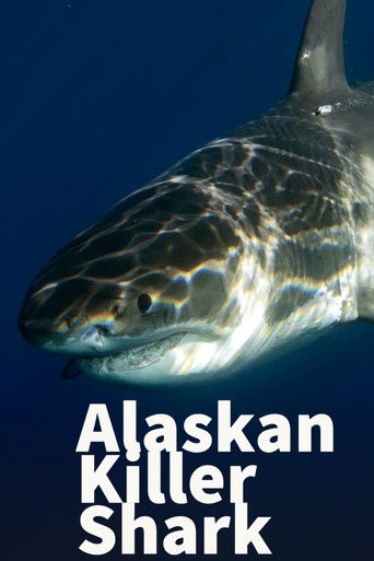 Alaskan Killer Shark poster