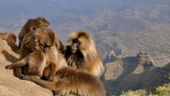 Africa's Hidden Wonders (2020)