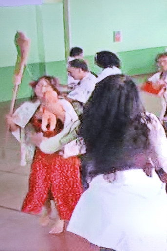Dom Pedro Pirou