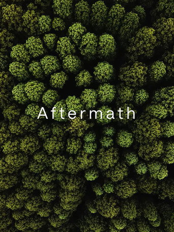 Poster film Aftermath
