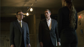 Person of Interest S5E13 poster
