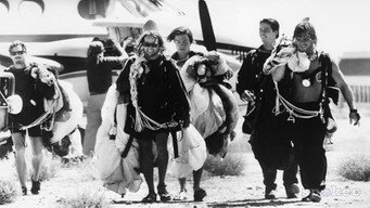 #57 На гребені хвилі