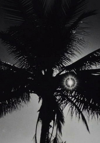 Street Film Part V poster 3