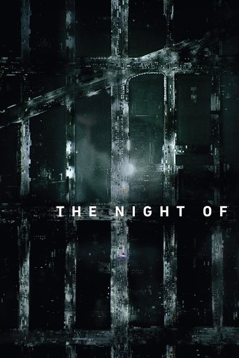 The Night Of Season 1 Episode 7