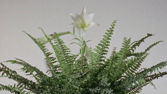 #4 Diptych