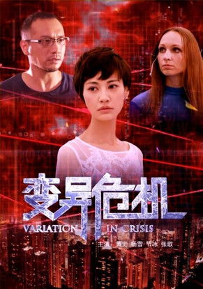 Variation in Crisis poster