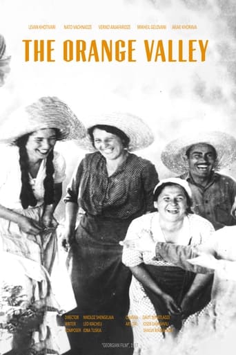 Poster of The Orange Valley