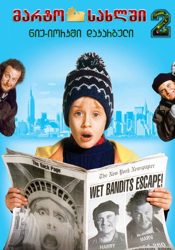 მარტო სახლში 2 (1992)