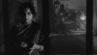 #15 Charulata
