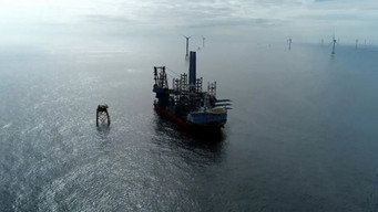 Deep Sea Behemoth