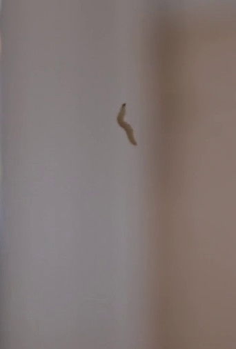 Second Chance poster