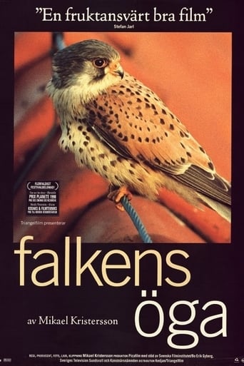 Poster för Falkens öga