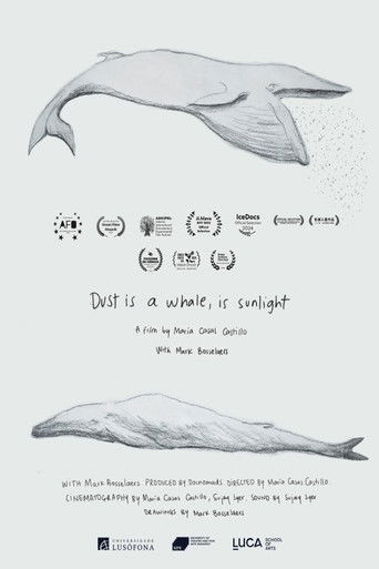 Dust is a Whale, is Sunlight (2023)