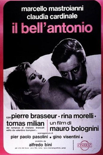 Il bell'Antonio — Posters 17