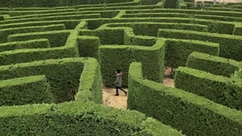 Labyrinths (2017)