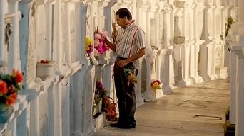 Lady, La Vendedora De Rosas S01E78