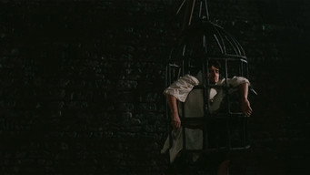 Escena 7 de La armada Brancaleone