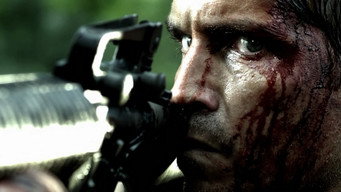 Транзит (2012)