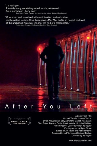 After You Left (2011) After You Left (2011)