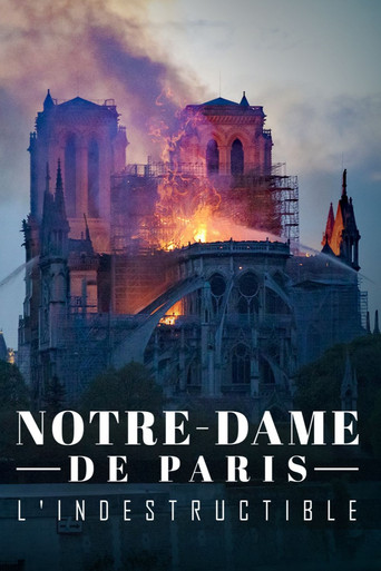 Notre-Dame de Paris, l'indestructible (2020)