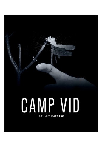 Camp Vid
