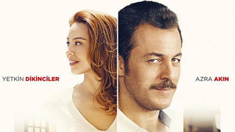 Her Sey Mumkun (2017)