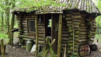 #1 Amazing Spaces Shed of the Year