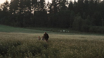 #65 Дзеркало