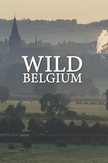 Det vilda Belgien poster