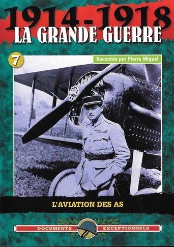 La grande guerre 1914-1918 l'aviation des AS (2000)