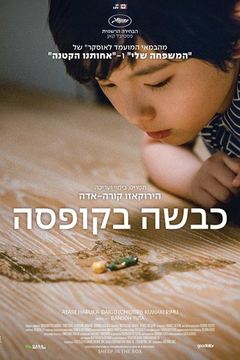 כבשה בקופסה