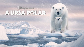 Escena 5 de Osa Polar