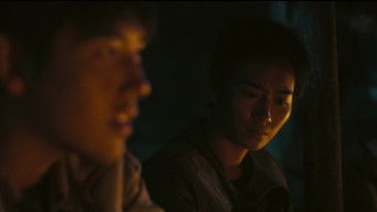 Episode 8 — Discover Flowers