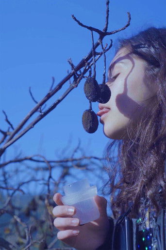 The Ballad of the Dry Mermaids poster