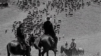 Пряма стрільба (1917)