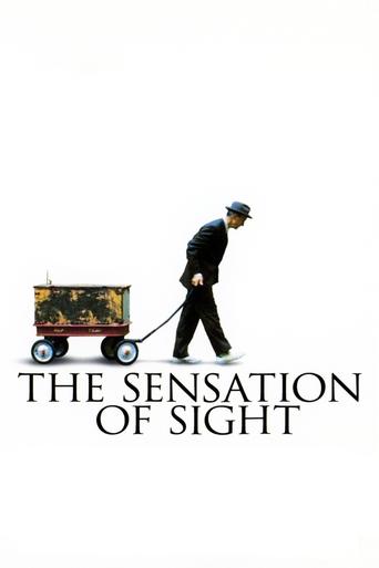 Poster of The Sensation Of Sight