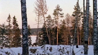 Episode 10 — Episode 10