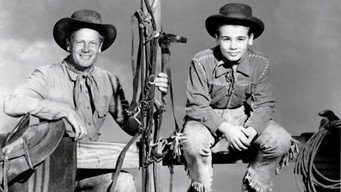 Cattle Drive (1951)