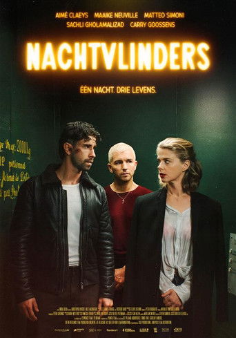 Nachtvlinders (2025)