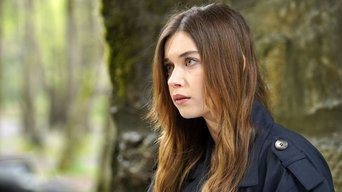 Episódio Episódio 26 da série O Canto do Pássaro