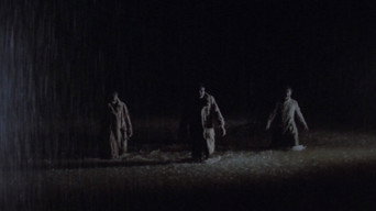 Wolf (1981)