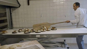 Episode 4 — Episode 4