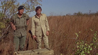 #16 The Green Berets