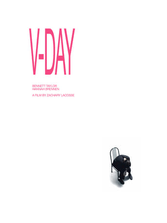 Poster of V-DAY