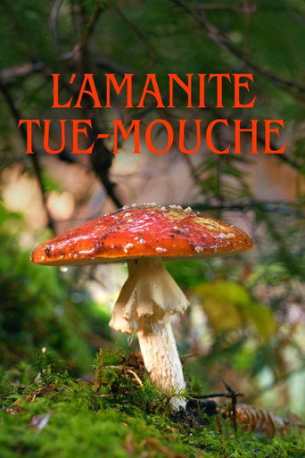 L&rsquo;amanite tue-mouche (2026)
