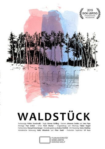 Waldstück (2019年)のポスター画像 - FindKey