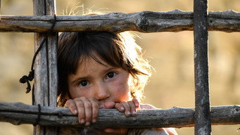 Escena 7 de Honeyland