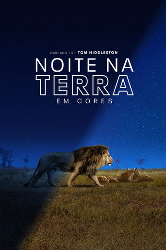 Cena de Noite na Terra em Cores