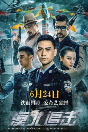 Poster of 漠北追击