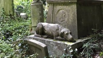Episódio Cães do Além da série Vídeos Paranormais